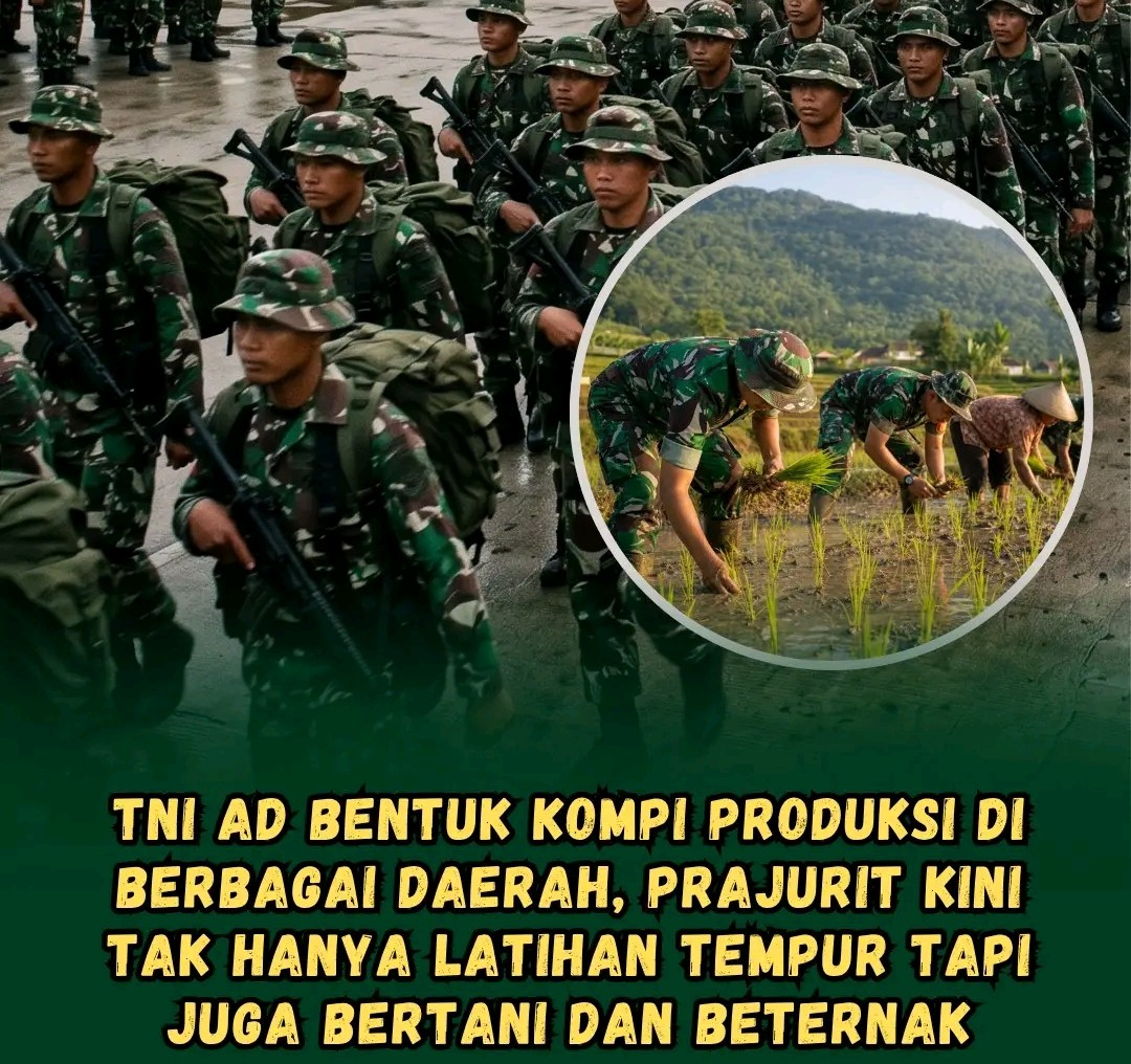 TNI AD BENTUK KOMPI PRODUKSI DI BERBAGAI WILAYAH, PERKUAT KETAHANAN PANGAN NASIONAL