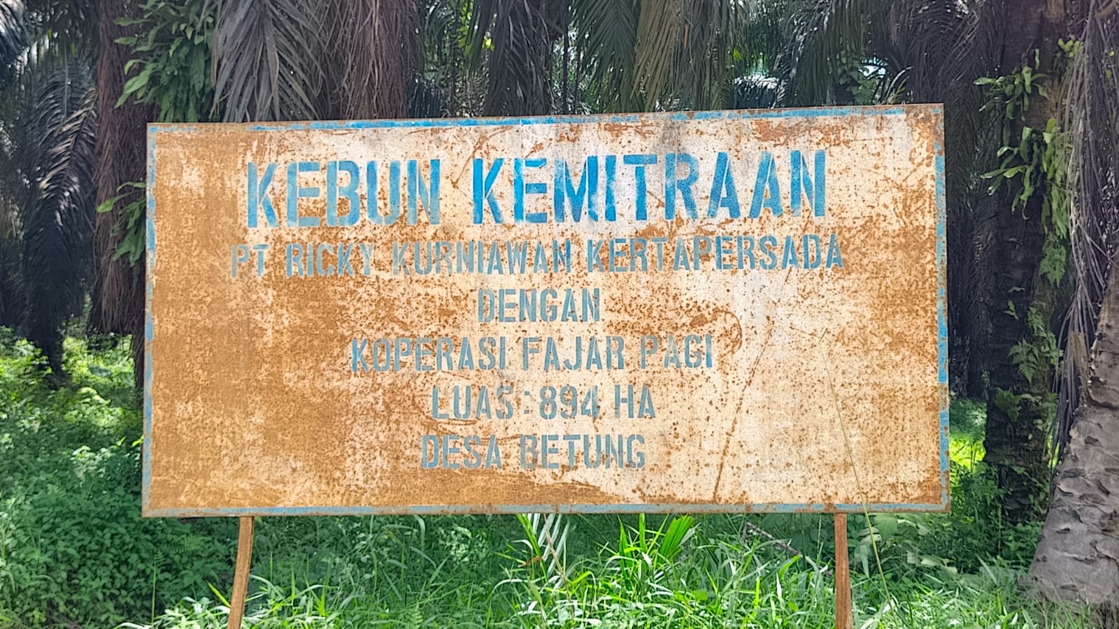 AWNI Desak APH Bongkar Akar Persoalan Sengketa Koperasi Fajar Pagi, Jangan Hanya Tangani Permukaan